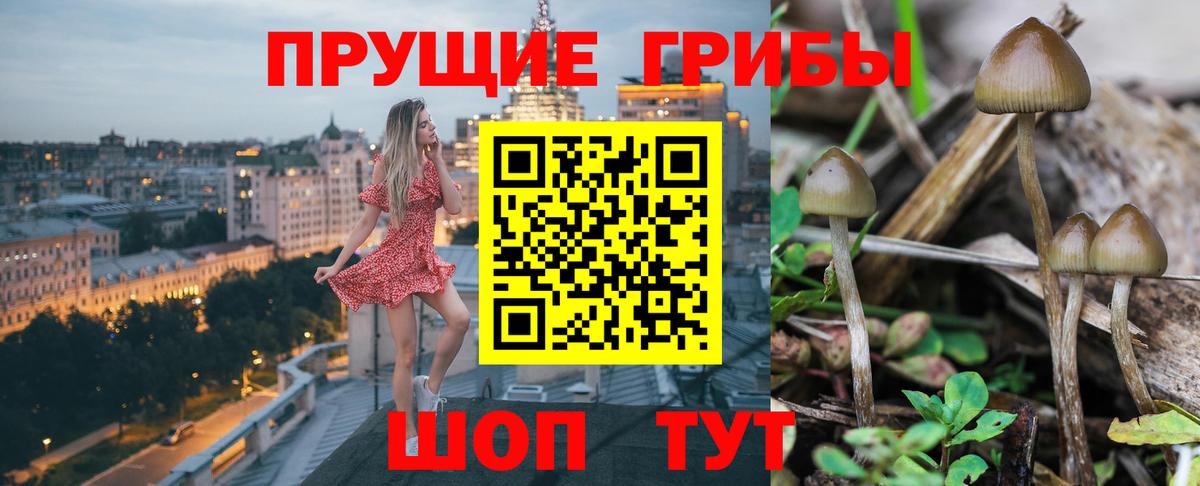 Псилоцибиновые грибы ЛСД Назрань